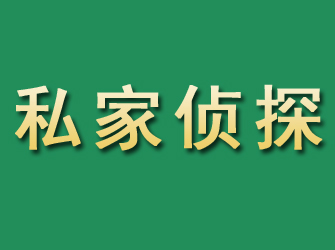 大观市私家正规侦探