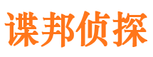 大观私家侦探